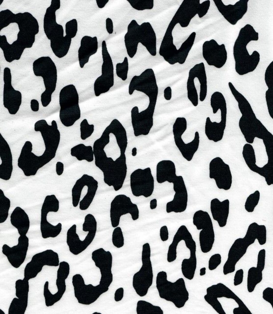 1 Yard Ivory Brushed DTY Leopard Print Knit Fabric 170 GSM, 58/60″ Wide Polyester Spandex Blend